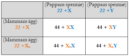 Kurs genetik  Ugglans Biologi